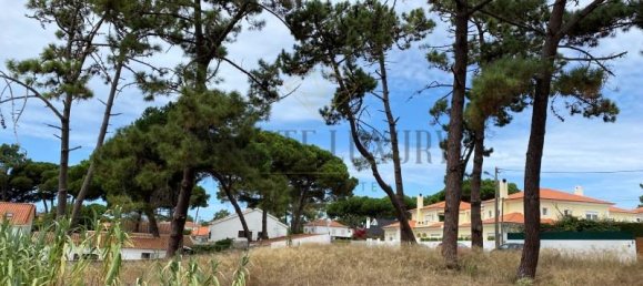 5760m² Land in Colares, Portugal No. 56936 3