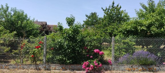 1 Schlafzimmer Haus in Muides-sur-Loire, France, Nr. 283281 8