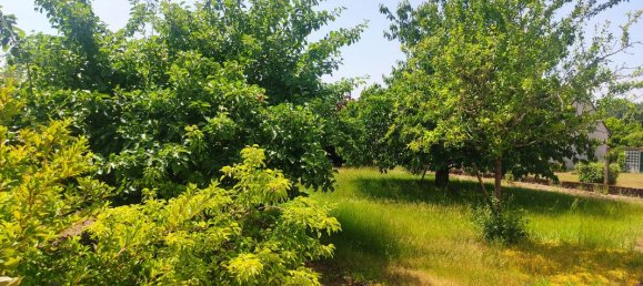 1 Schlafzimmer Haus in Muides-sur-Loire, France, Nr. 283281 7