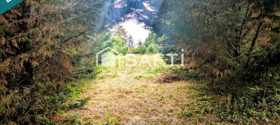 Земельный участок в Тарн и Гаронна, Франция № 293924 4