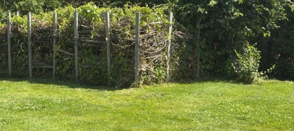 Дом с 3 спальнями в Эмден, Германия № 309710 13