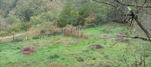 Дом с 6 комнатами в Кастильоне дей Пеполи, Италия № 166525 24