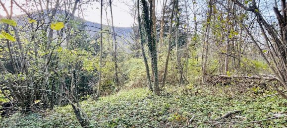 Casa de 2 habitaciónes en Garessio, Italy No. 116641 12