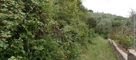 15000m² Hotel in Corfu, Greece No. 5724 7