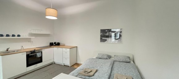 استوديو في Rudolfsheim-Funfhaus, Austria رقم 40493 3