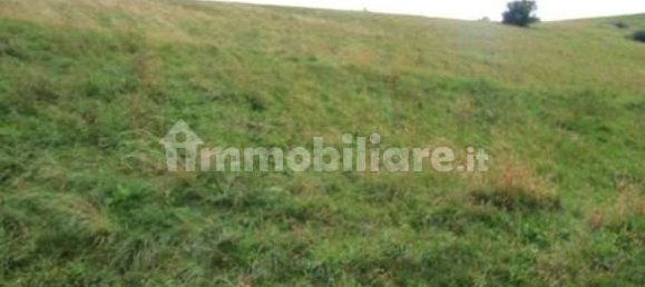 1 room Warehouse in Roveré Veronese, Italy No. 267432 3