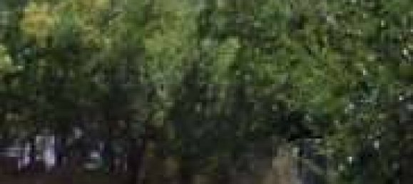 1 room Warehouse in Roveré Veronese, Italy No. 267432 8