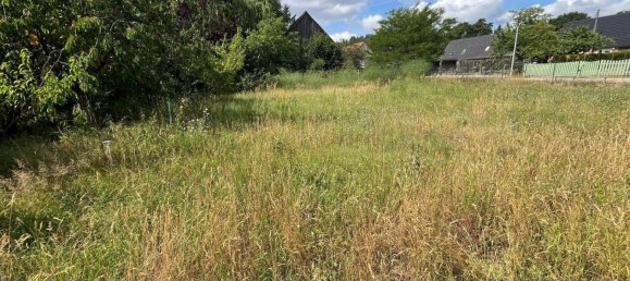 3 غرف نوم منزل في Ludwigslust-Parchim, Germany رقم 247431 18