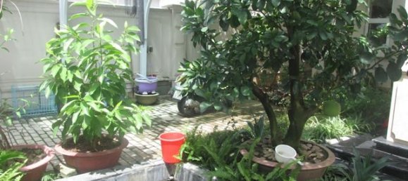 4 غرف نوم فيلا في Hoai Duc, Vietnam رقم 3732 15