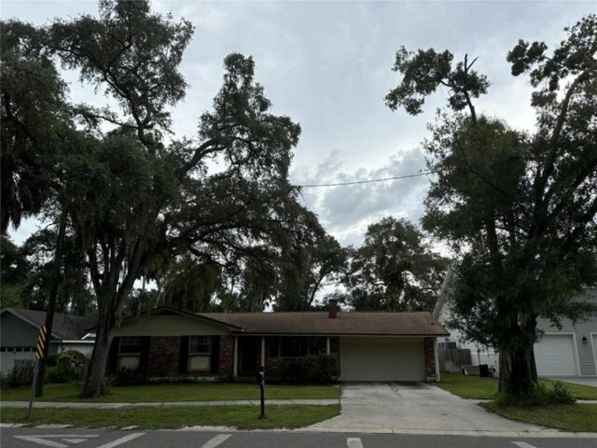 4 bedrooms House in Tampa, USA No. 241667