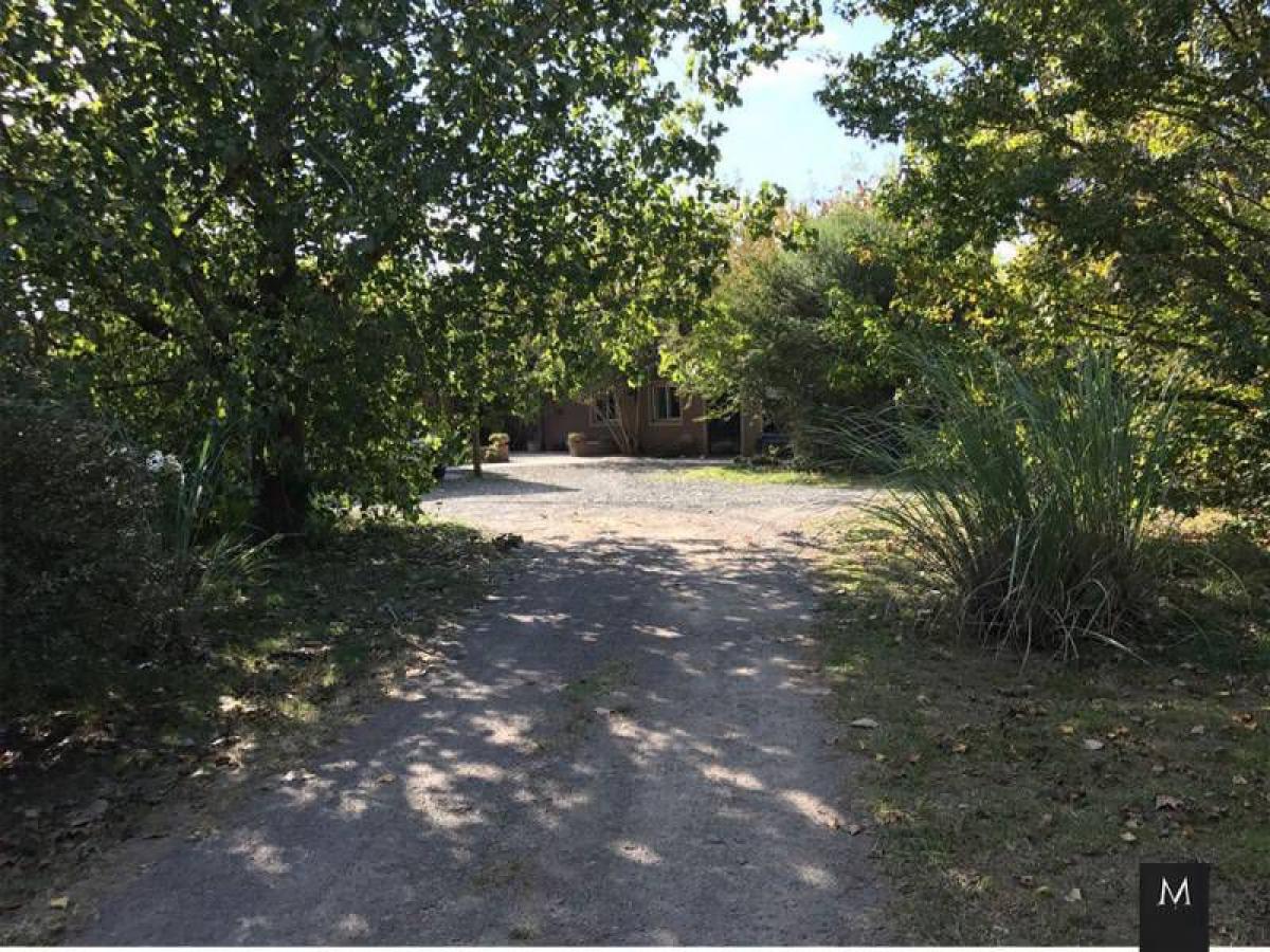 Casa T3 em Pilar, Argentina N.º 97573