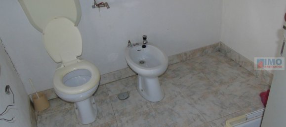 7 bedrooms House in Castelo Branco, Portugal No. 58531 19