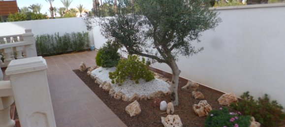 5 Schlafzimmer Villa in Cabo Roig, Spain, Nr. 8646 5