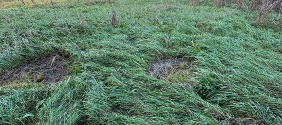 Apartamento de 3 habitaciónes en Borgo Virgilio, Italy No. 227154 10