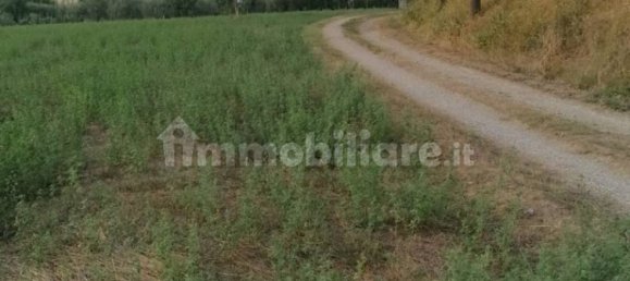 Grundstück in Sansepolcro, Italy 8360m², Nr. 361884 4