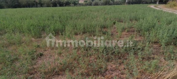 Grundstück in Sansepolcro, Italy 8360m², Nr. 361884 3