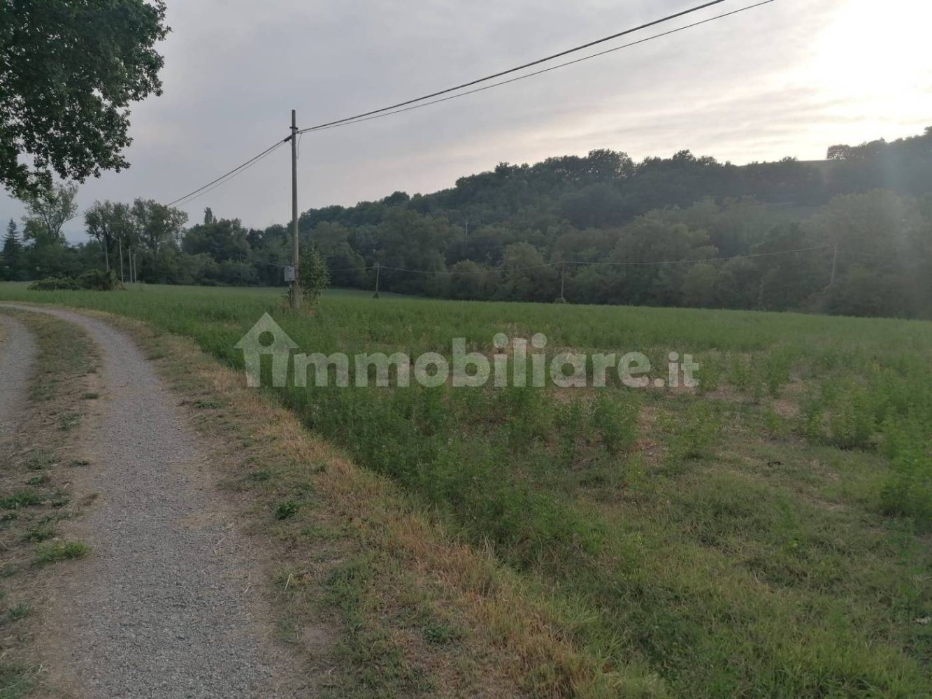  قطعة أرض في Sansepolcro, Italy 8360متر مربع رقم 361884