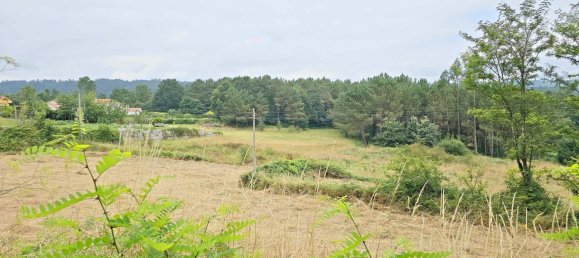 3371m² Land in Brion, Spain No. 47607 7