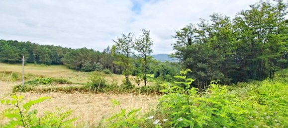 3371m² Land in Brion, Spain No. 47607 10