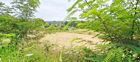 3371m² Land in Brion, Spain No. 47607 12