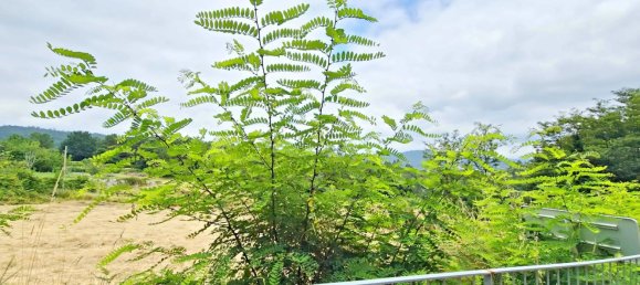 3371m² Land in Brion, Spain No. 47607 13