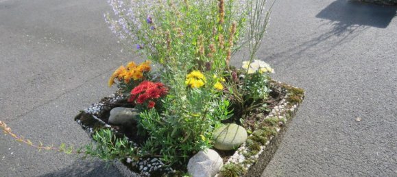 1 bedroom Apartment in Rhein-Sieg, Germany No. 163471 11