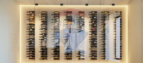 Casa T3 em Carregal do Sal, Portugal N.º 17199 15