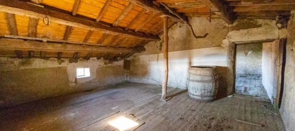 5-Zimmer Haus in Violay, France, Nr. 195598 13