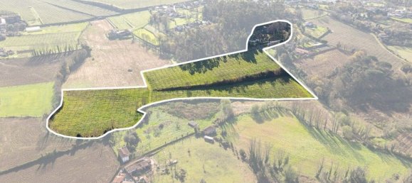 5 Schlafzimmer Haus in Rendufe, Portugal, Nr. 35725 39