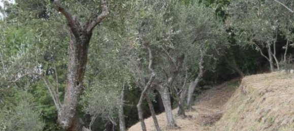 2 bedrooms House in Buti, Italy No. 253344 4