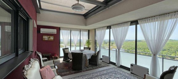 6 rooms Townhouse in Gumpoldskirchen, Austria No. 206347 13