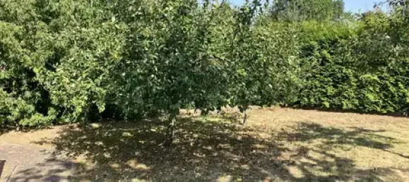 Таунхаус с 1 спальней в Demmin, Германия № 41763 9