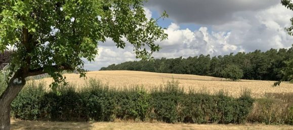 4 Schlafzimmer Haus in Mecklenburgische Seenplatte, Germany, Nr. 230766 3