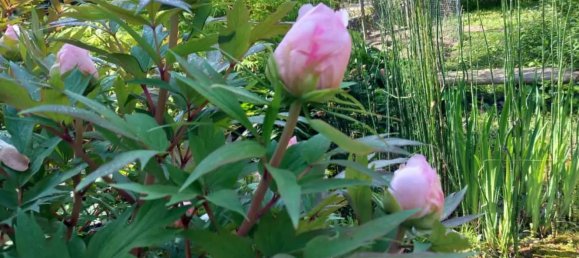 8 rooms House in Alessandria, Italy No. 50871 48