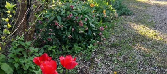 8 rooms House in Alessandria, Italy No. 50871 43