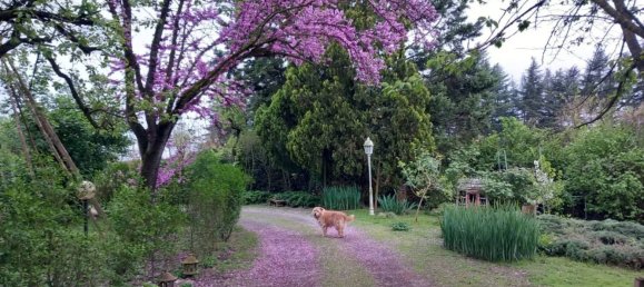 8 rooms House in Alessandria, Italy No. 50871 38