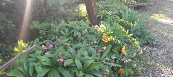 8 rooms House in Alessandria, Italy No. 50871 40