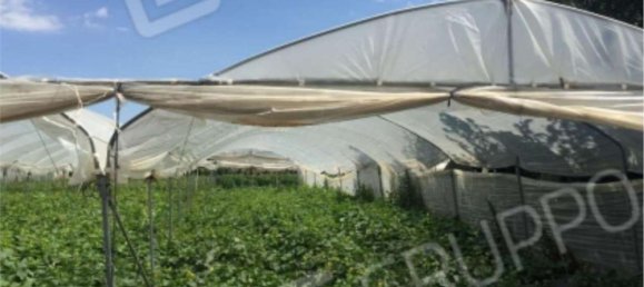 Квартира с 5 комнатами в Сканцано Йонико, Италия № 284209 16