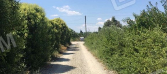 Квартира с 5 комнатами в Сканцано Йонико, Италия № 284209 37