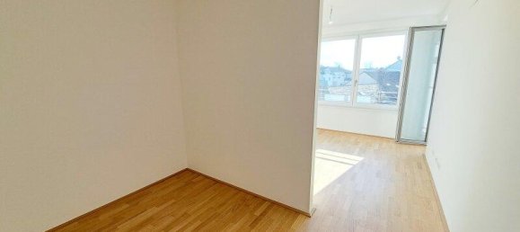 Коммерческая недвижимость с 4 комнатами в Дойч-Ваграм, Австрия № 82290 6