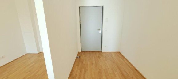 Коммерческая недвижимость с 4 комнатами в Дойч-Ваграм, Австрия № 82290 12