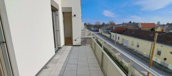 Коммерческая недвижимость с 4 комнатами в Дойч-Ваграм, Австрия № 82290 16