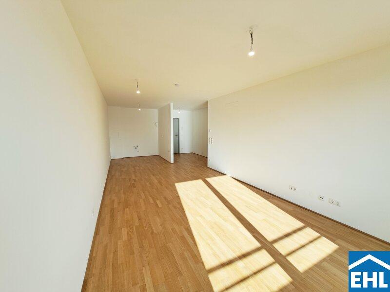 Коммерческая недвижимость с 4 комнатами в Дойч-Ваграм, Австрия № 82290