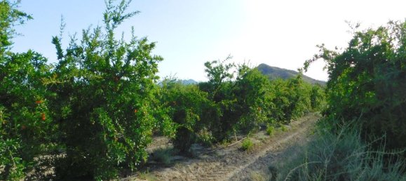 Terrain à Torremendo, Spain 1810m² No. 189124 3