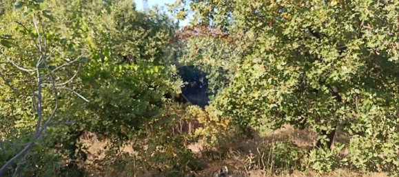 851m² Land in Linguaglossa, Italy No. 83461 12