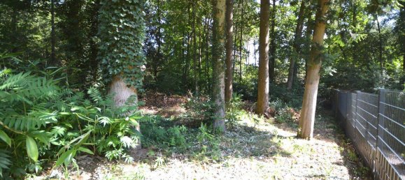  Land in Harburg, Germany No. 341912 11