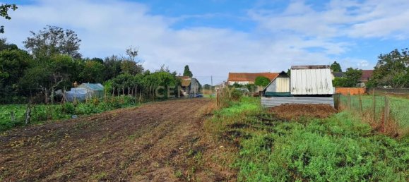 Земельный участок 1250м² в Соза, Португалия № 85246 5