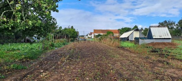 Земельный участок 1250м² в Соза, Португалия № 85246 3