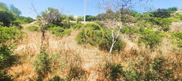 909m² Land in Loule, Portugal No. 15896 11