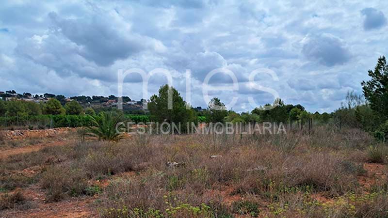 55m² Warehouse in Torrent, Spain No. 242809